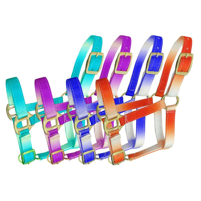 OMBRE NYLON FOAL HALTER