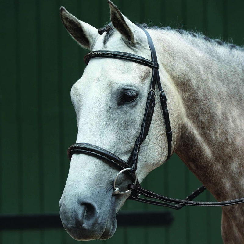 COLLEGIATE COMFORT CROWN FANCY STITCHED BRIDLE - BROWN