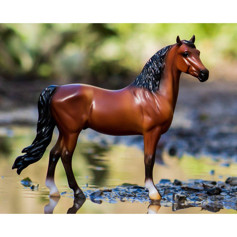 BREYER BRIGHT BAY MORGAN