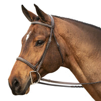 EQUINAVIA SAGA FANCY STITCHED HUNTER BRIDLE - CHOCOLATE