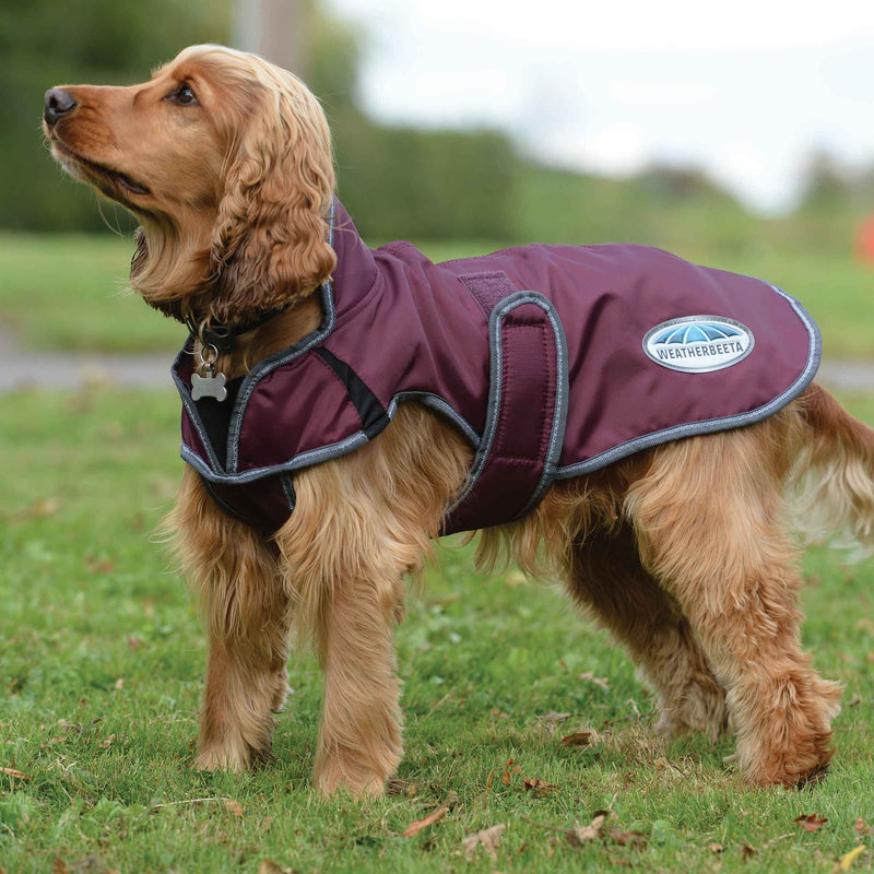 WEATHERBEETA COMFITEC WINDBREAKER DELUXE DOG COAT