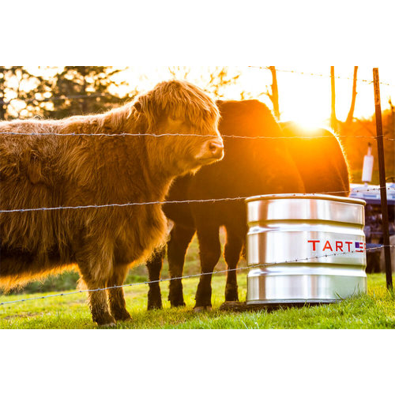 Tarter Galvanized 100 Gallon Stock Tank 2 x2 x4 Oval Bridle Path tarter-galvanized-100-gallon-stock-tank-2-x2-x4-oval-bridle-path