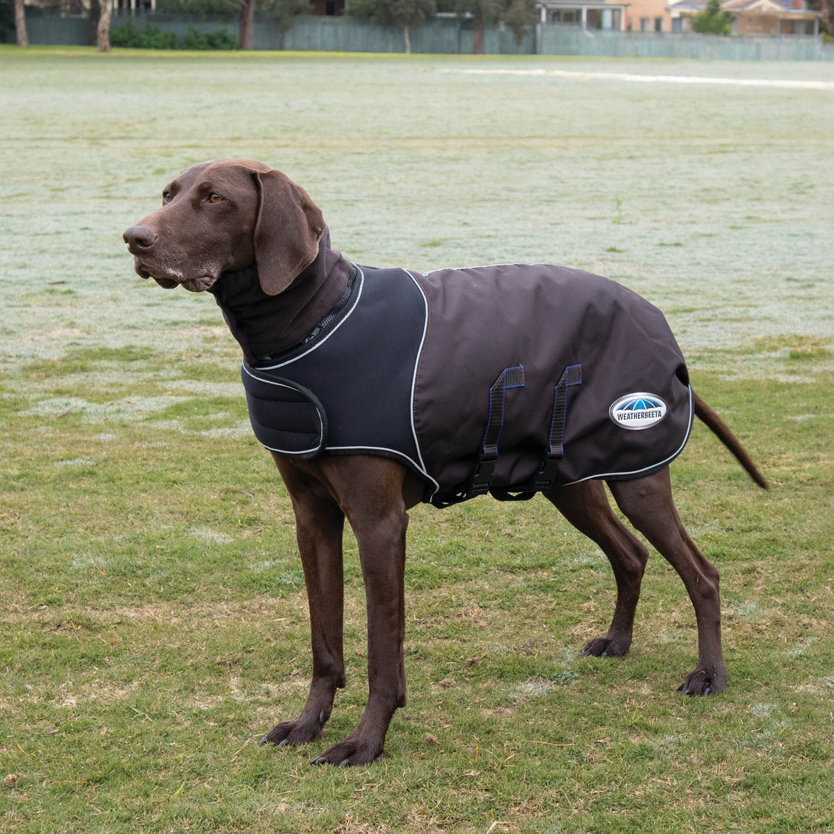 WEATHERBEETA COMFITEC ULTRA COZI DOG COAT