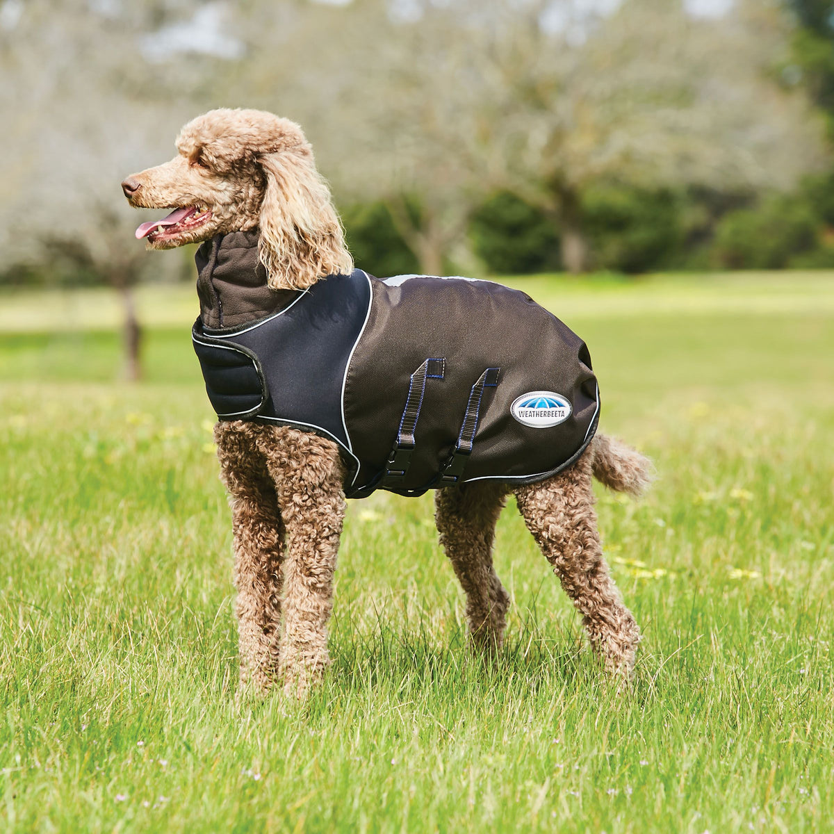 WEATHERBEETA COMFITEC ULTRA COZI DOG COAT