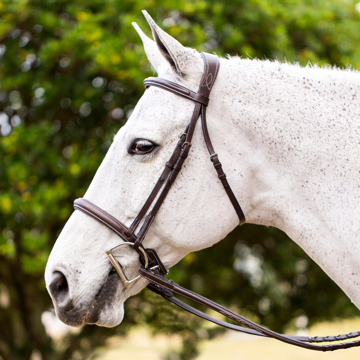 EQUINAVIA VALKYRIE FANCY STITCHED HUNTER BRIDLE - CHOCOLATE