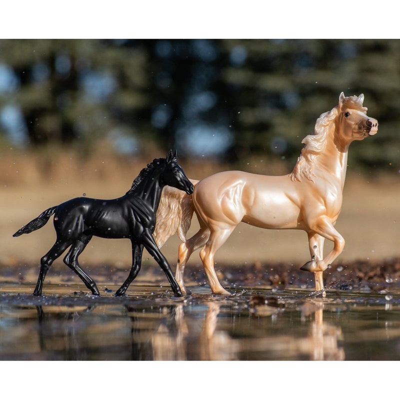 BREYER CLOUD'S ENCORE AND TOR