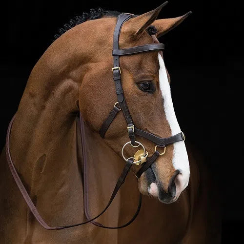 RAMBO MICKLEM MULTI BRIDLE WITH REINS