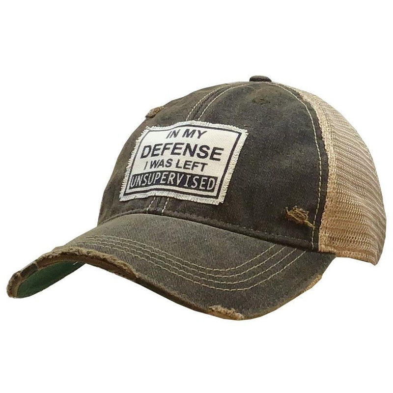 Ball Cap In My Defense I Was Left Unsupervised