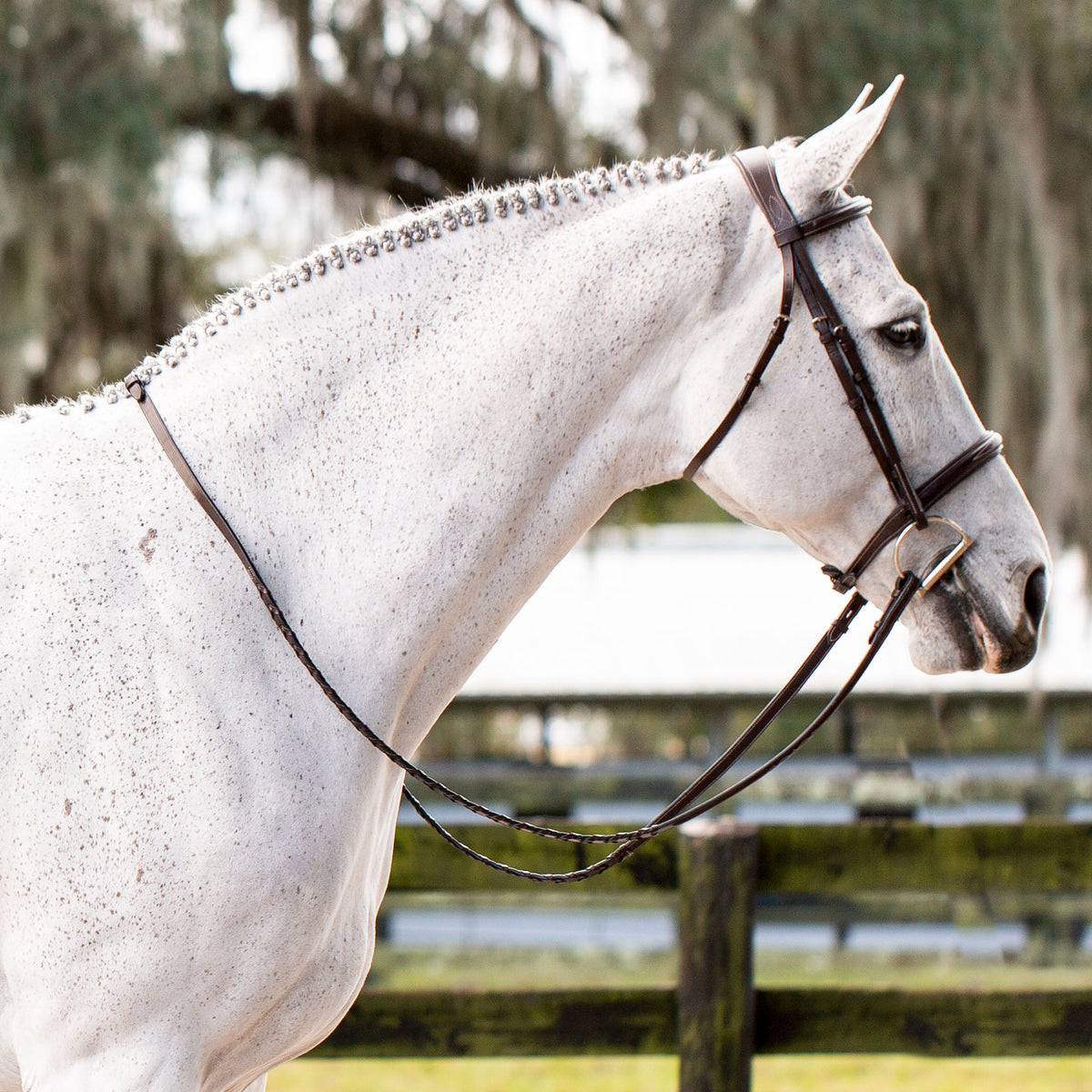 EQUINAVIA VALKYRIE FANCY STITCHED HUNTER BRIDLE - CHOCOLATE