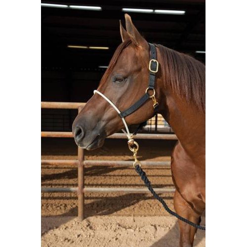 PROFESSIONAL'S CHOICE NYLON ROPE NOSEBAND HALTER