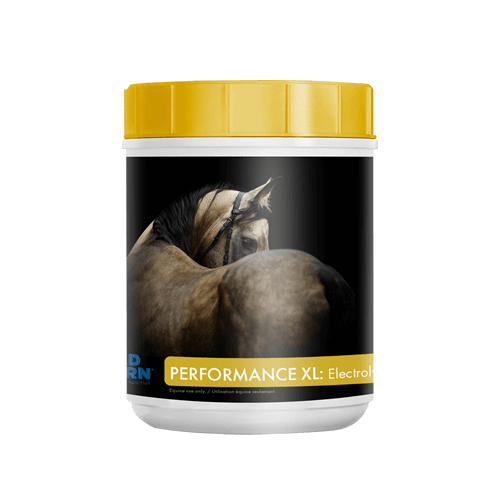 MAD BARN PERFORMANCE XL ELECTROLYTE 1KG