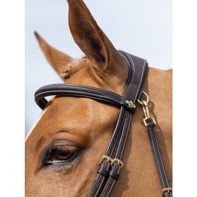 LEMIEUX WORK BRIDLE - BROWN