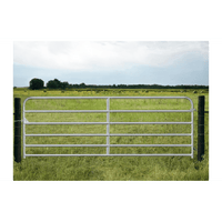 Galvanized Gate 12FT