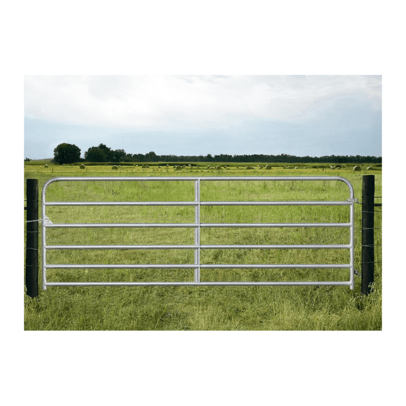 Galvanized Gate 12FT