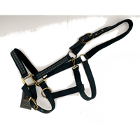 Horse Plaid Halter