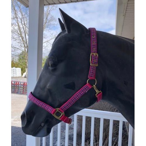 Horse Plaid Halter