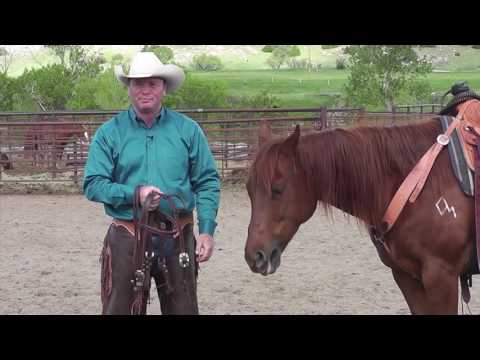 WEAVER QUICK CHANGE HARNESS LEATHER HEADSTALL