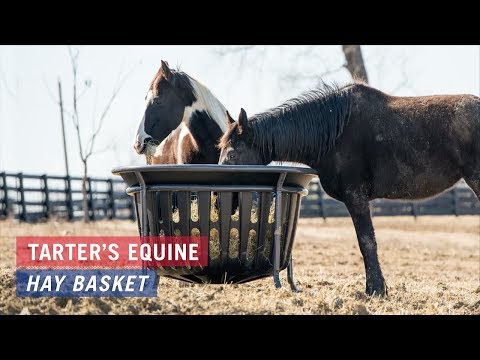 EQUINE HAY BASKET