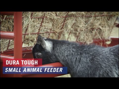 DURA TOUGH SMALL ANIMAL FEEDER