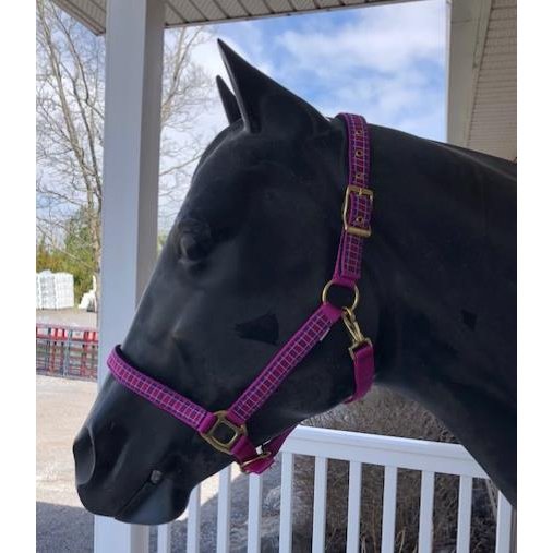 Horse Plaid Halter