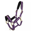 BACK ON TRACK WERANO HALTER