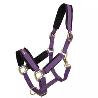 BACK ON TRACK WERANO HALTER